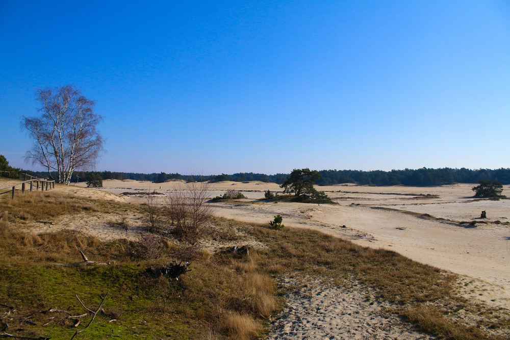 Zandverstuiving Harderwijk